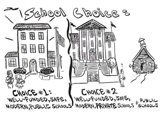 School and Political Choices